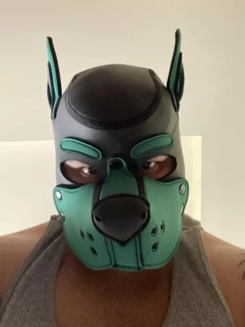 I came for the treats 