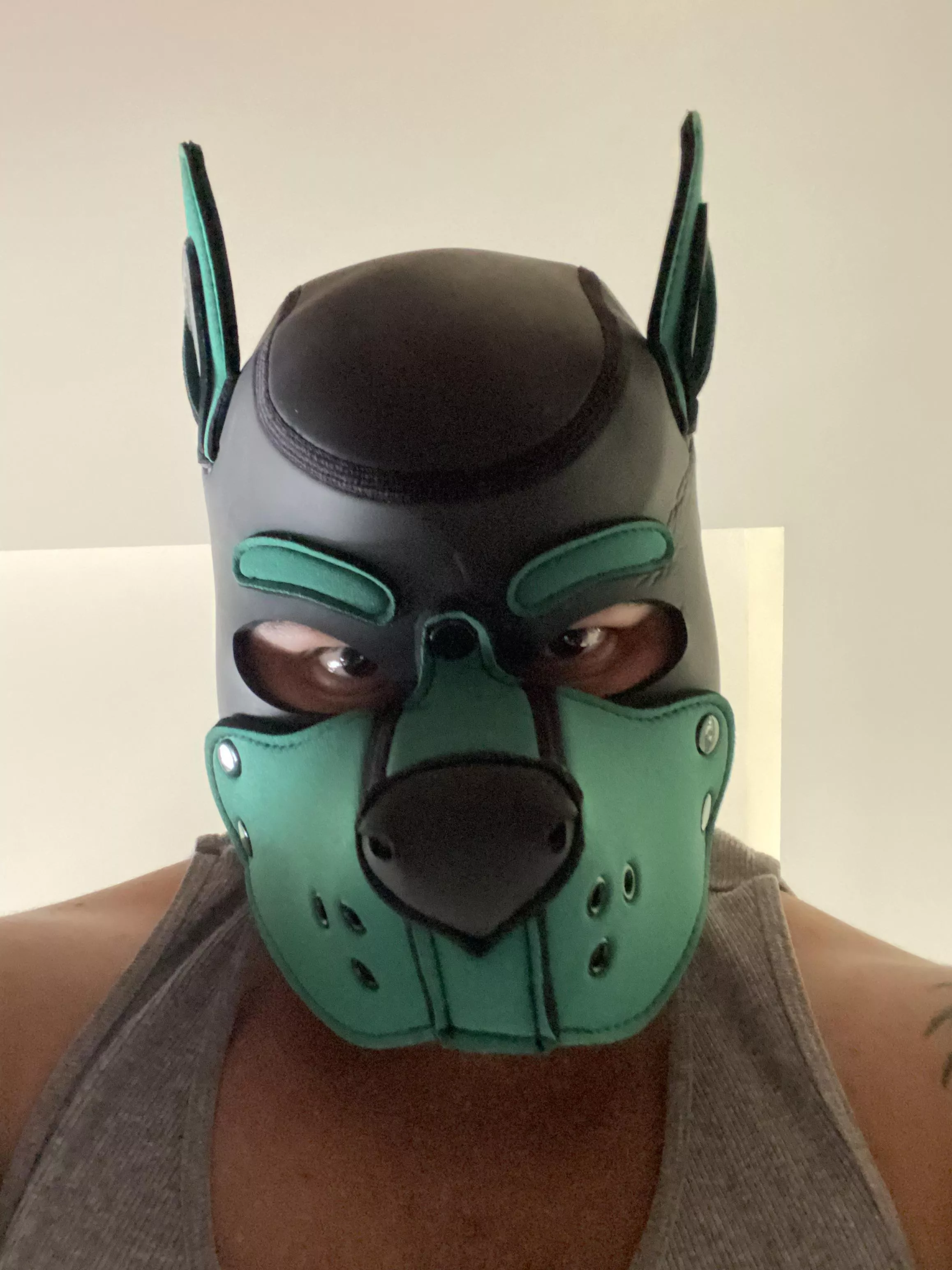 I came for the treats 