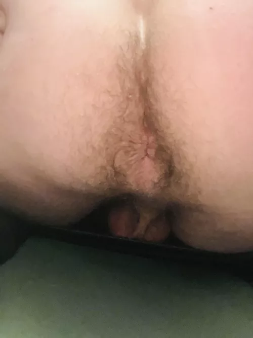 Straight guy here. First asshole pic I have ever taken. Feel free to chat me!