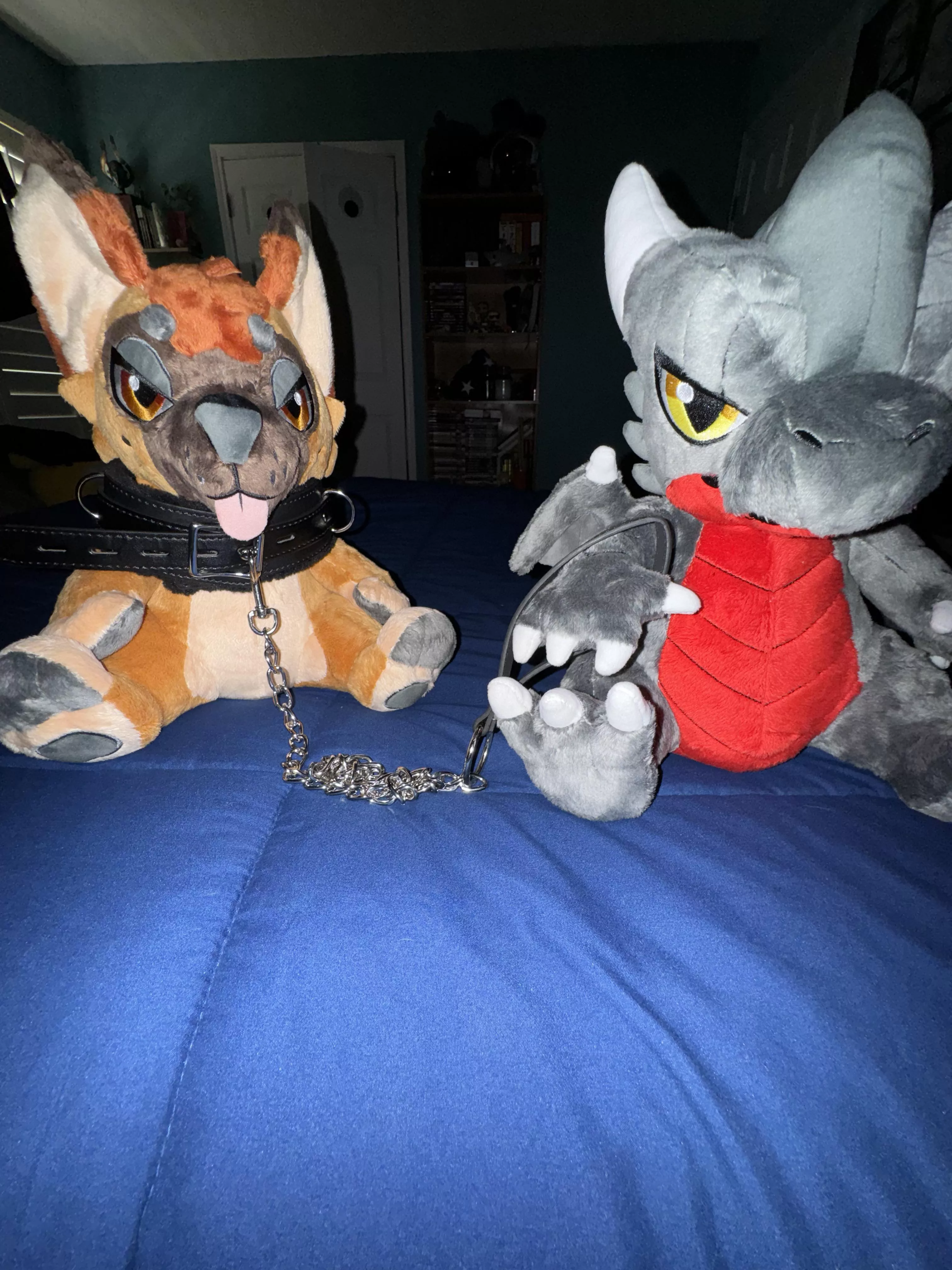 They are getting into it now