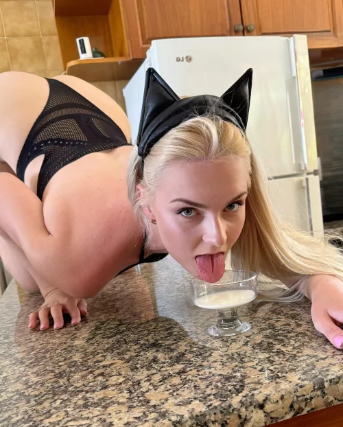 This cat loves other milk