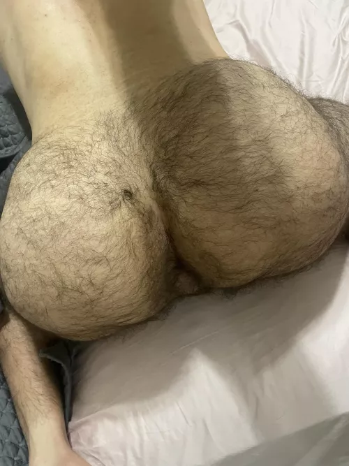 Do you like hairy butts?