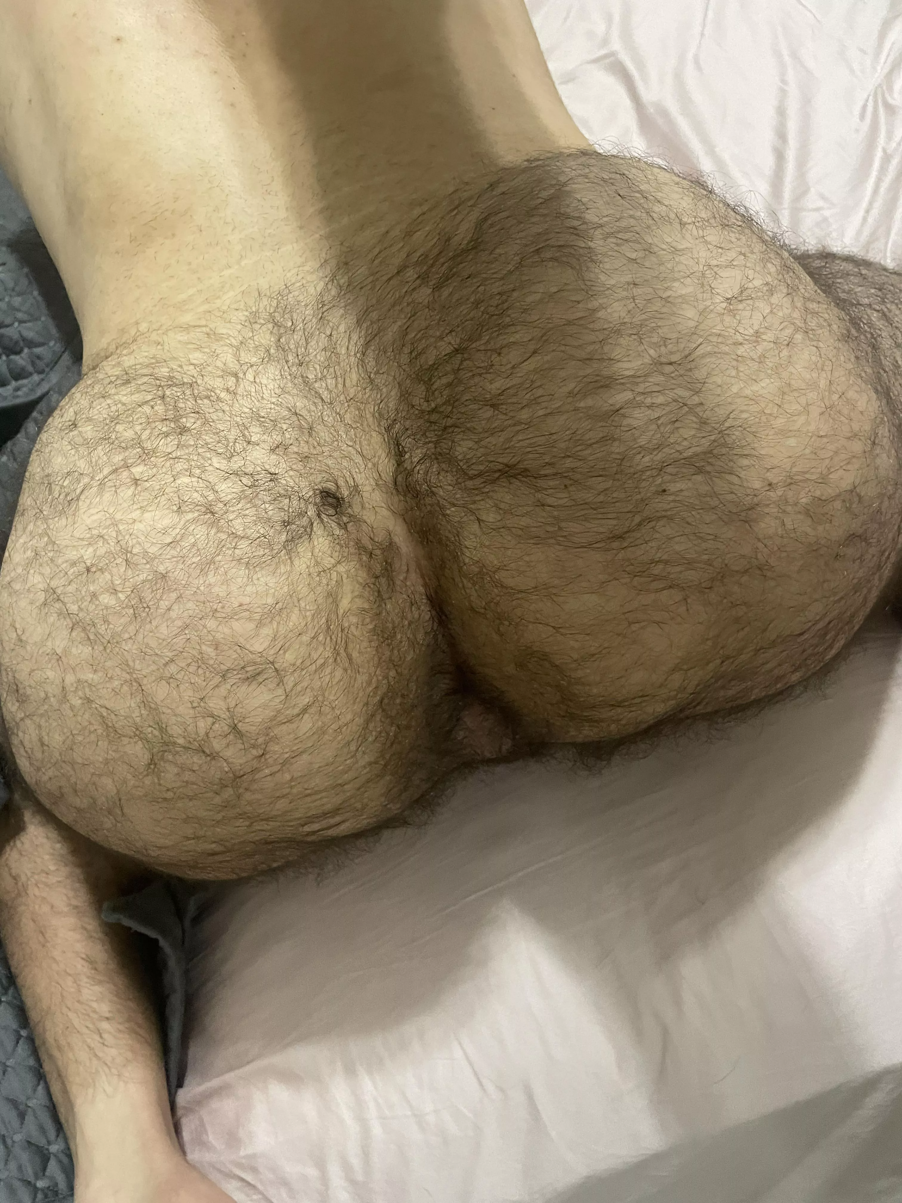Do you like hairy butts?