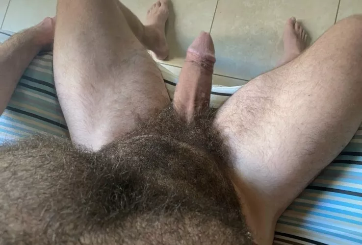 Hairy pube and body