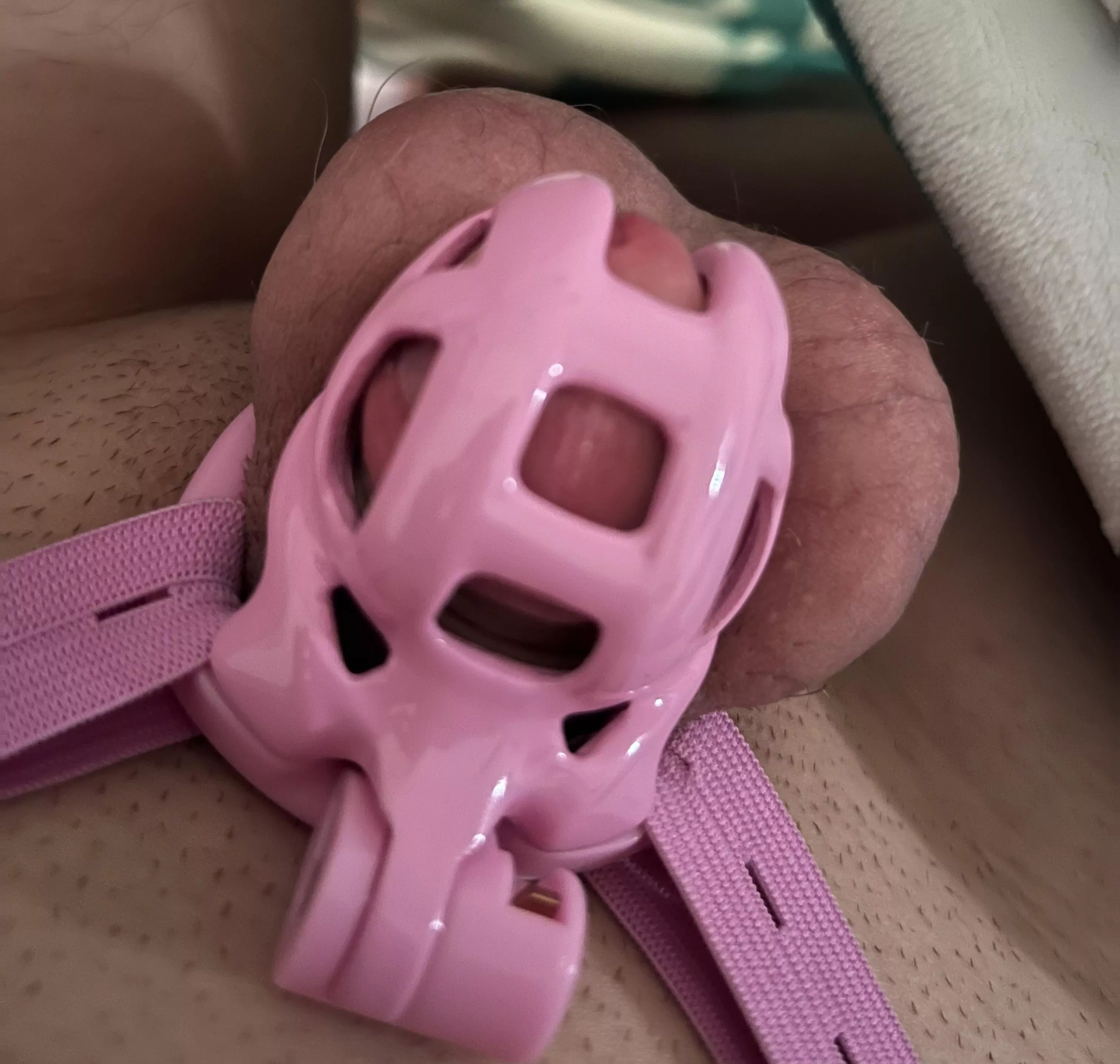 Loving my lil clitty in that new cage