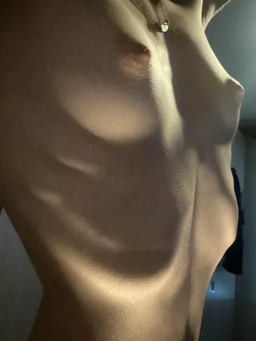 The graceful lines of my ribs, simply beautiful