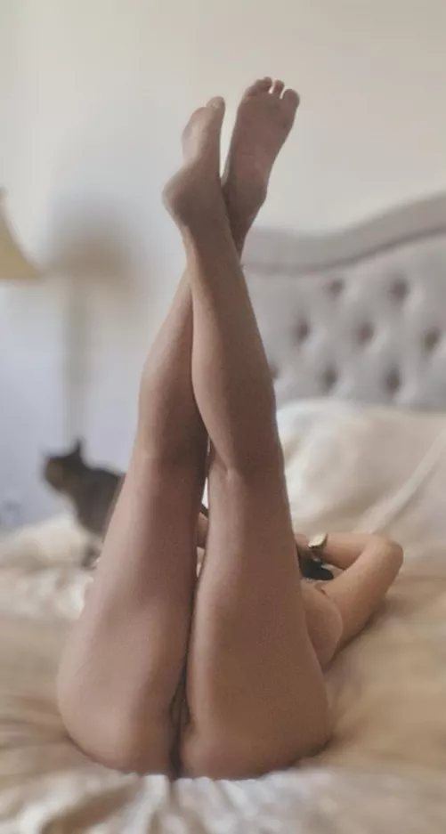 To pretty kitty’s (f) 