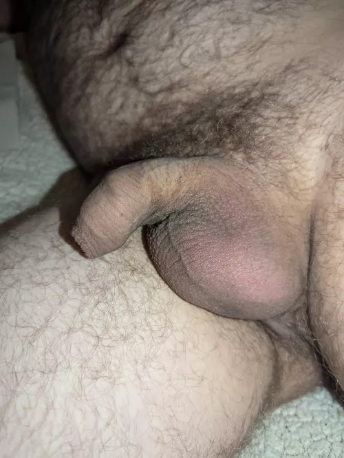 [36] my balls
