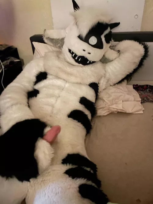 Like What You See? I do. 👁️