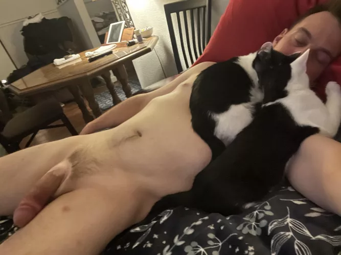 On a scale of 1-10, how would you rate a movie & cuddle date night like this? 🦁