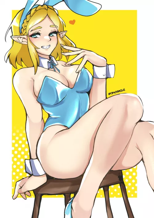 Zelda bunny suit