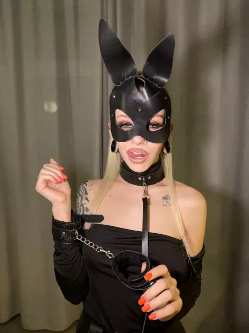 Her Purrfect Disguise: Cat Mask & Black Dress