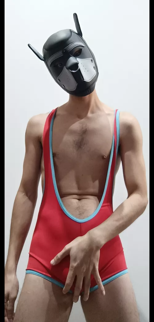 Throw me a bone to play please 