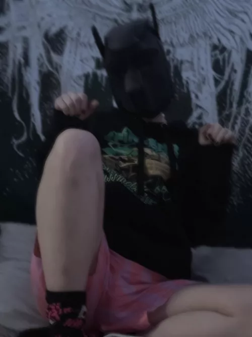 where did everyone get their hoods and/or ears from ?! i must know for future reference 