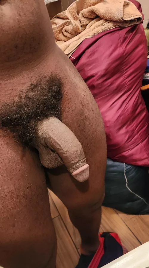 Would you play with it 