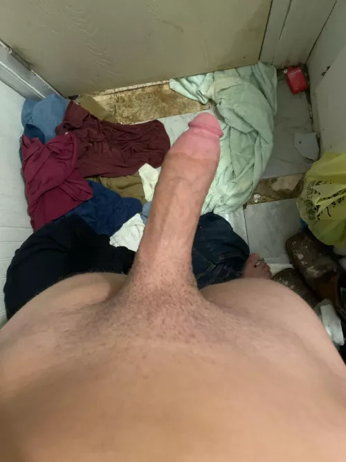 You love this fat cock 19