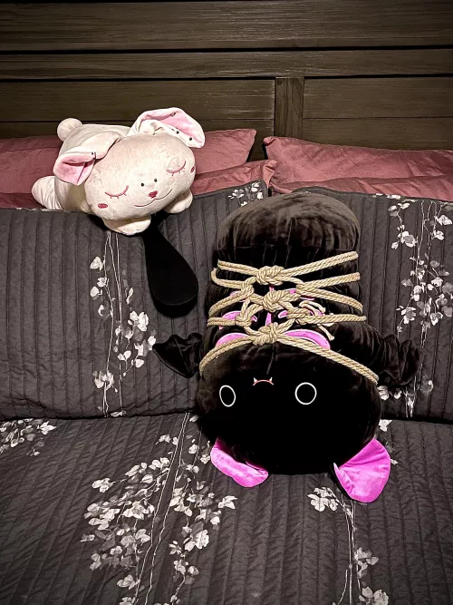 Bun wanted to be the rigger today so they invited a friend