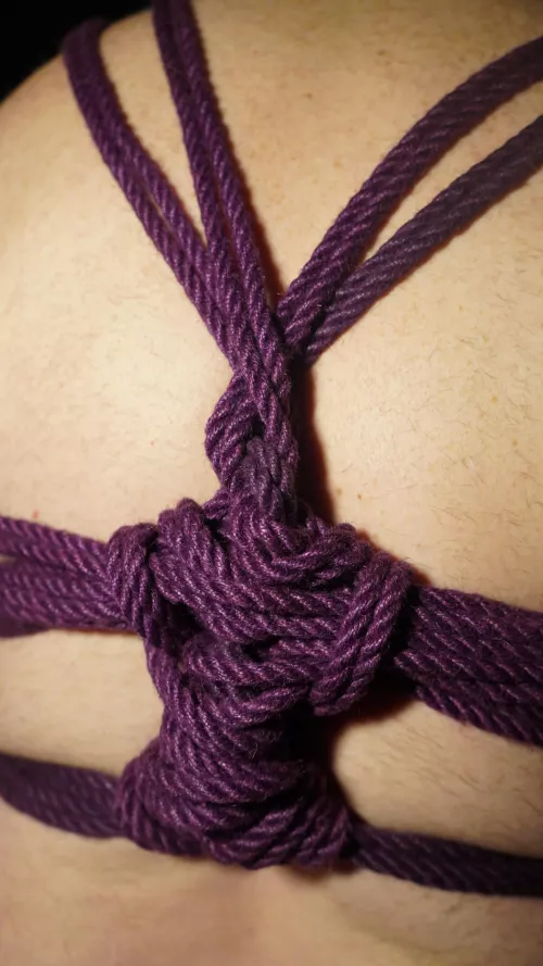 Compressed stem, working to memorize the weavings on Butterfly Harness