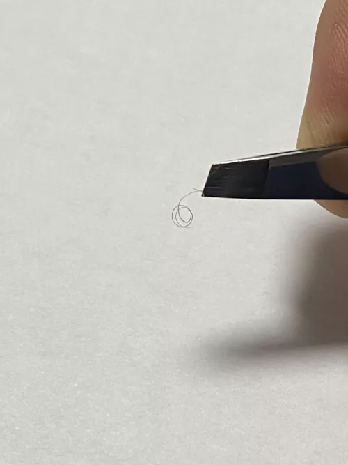 Little guy on my knee 