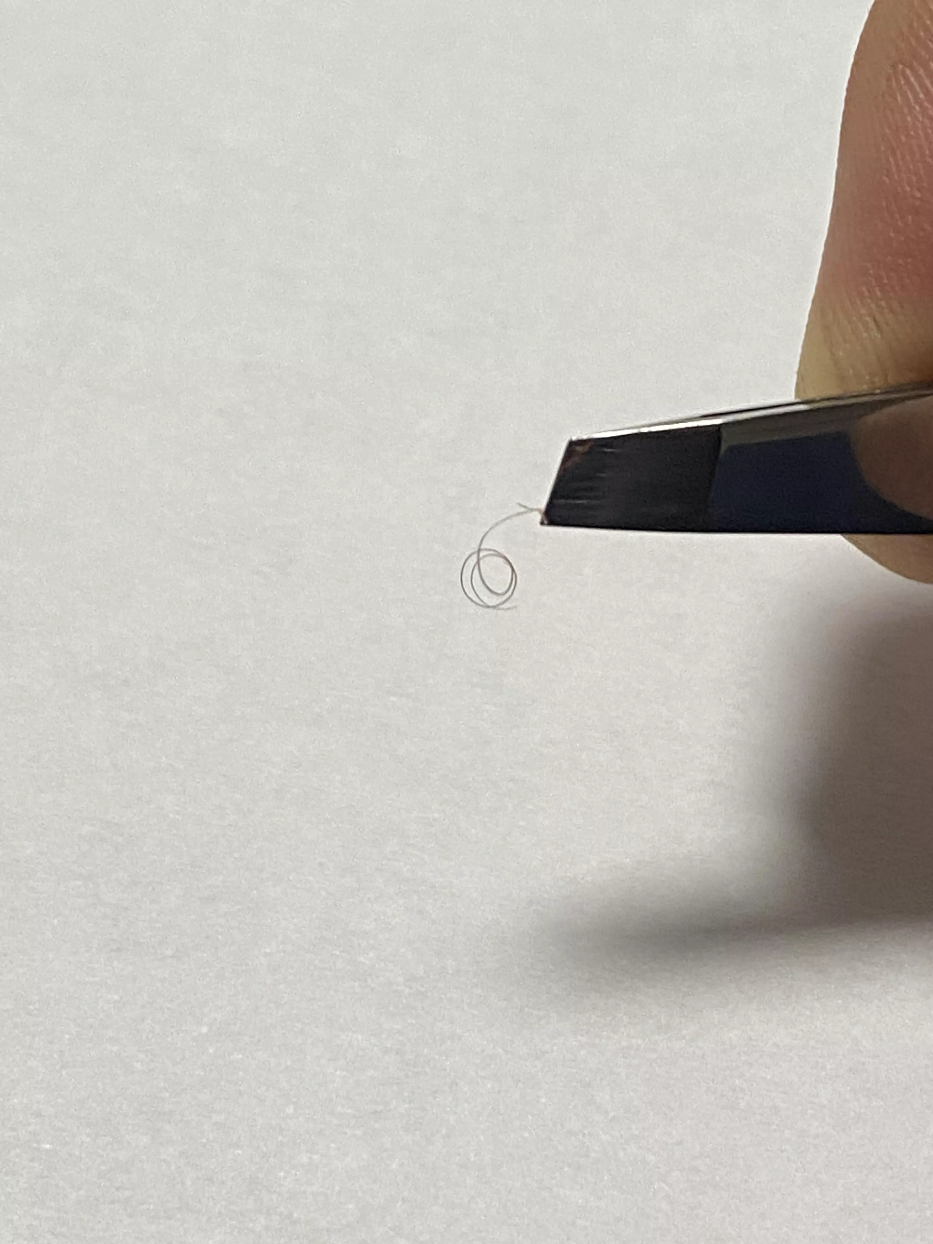 Little guy on my knee 