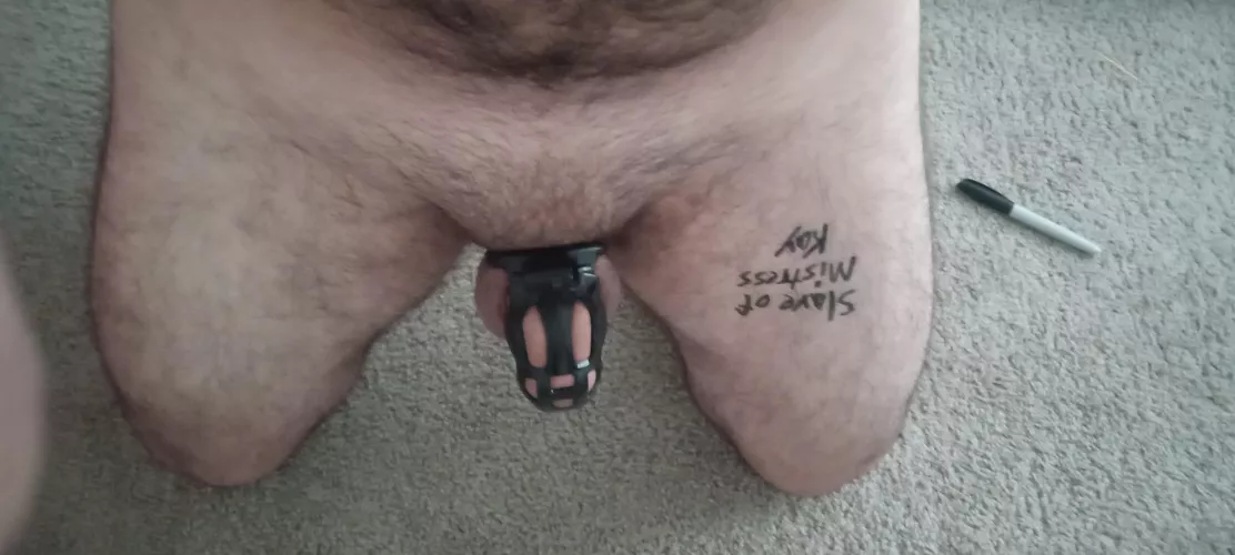 Slave humiliation posting