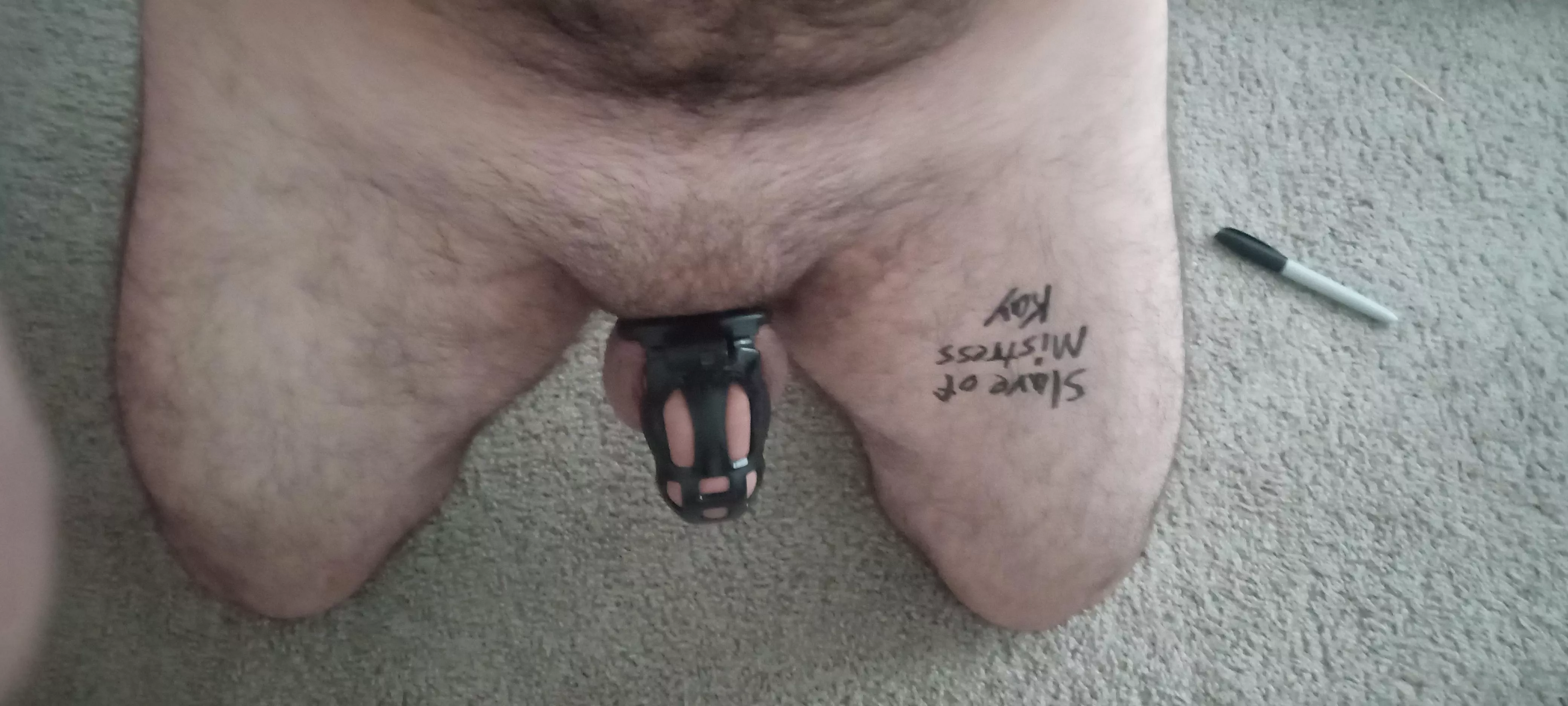 Slave humiliation posting