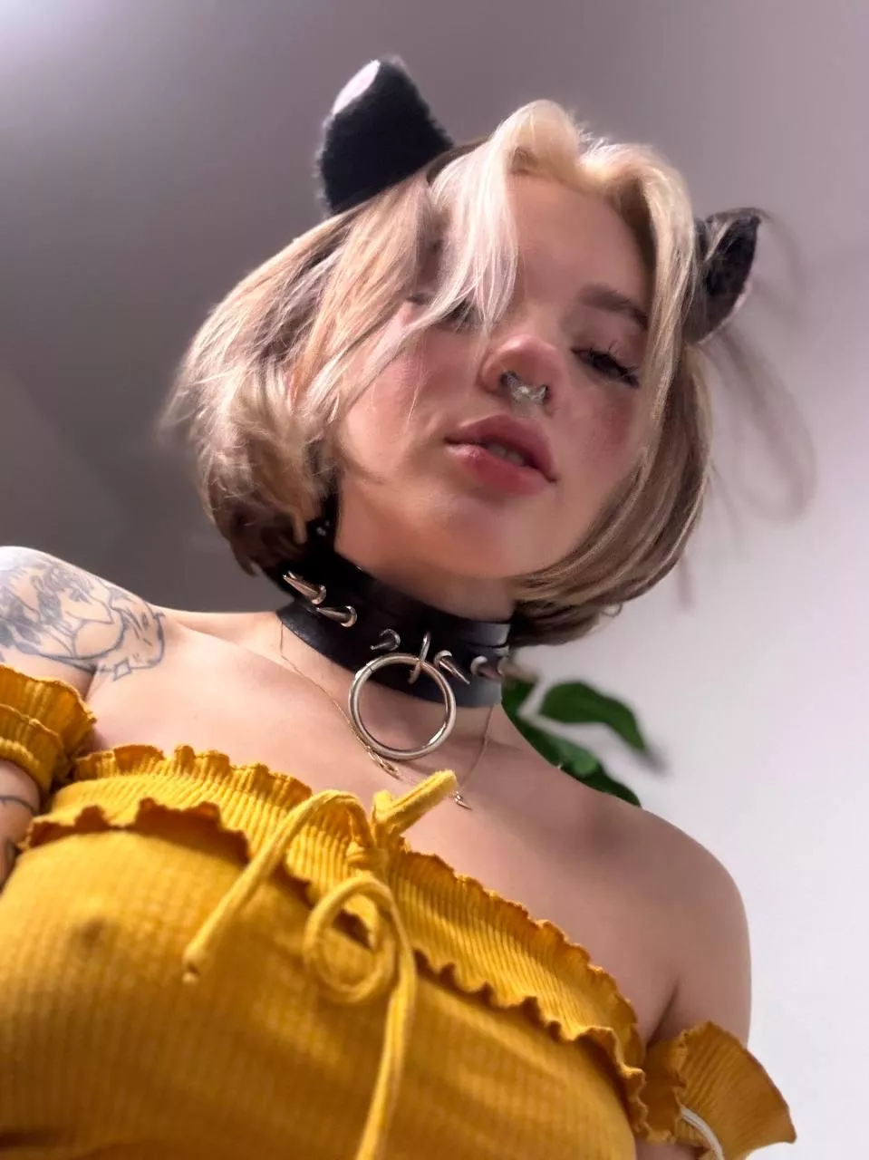 do you think I'll make a good kitty