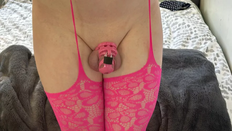 Guess what else is pink 