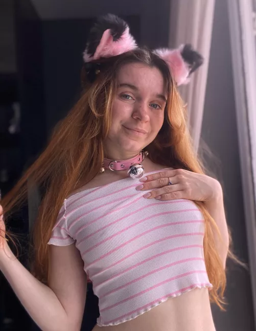 I'm trying to be a wild cat but I'm still a cute kitty at heart