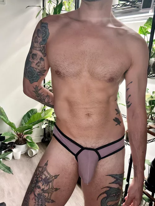 These are super comfy 😊I don’t need more, but I’m getting more o/c