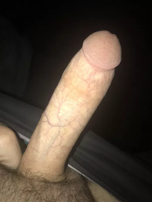 (40) cut to perfection 