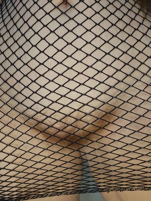 A little bit of bush through fishnets 