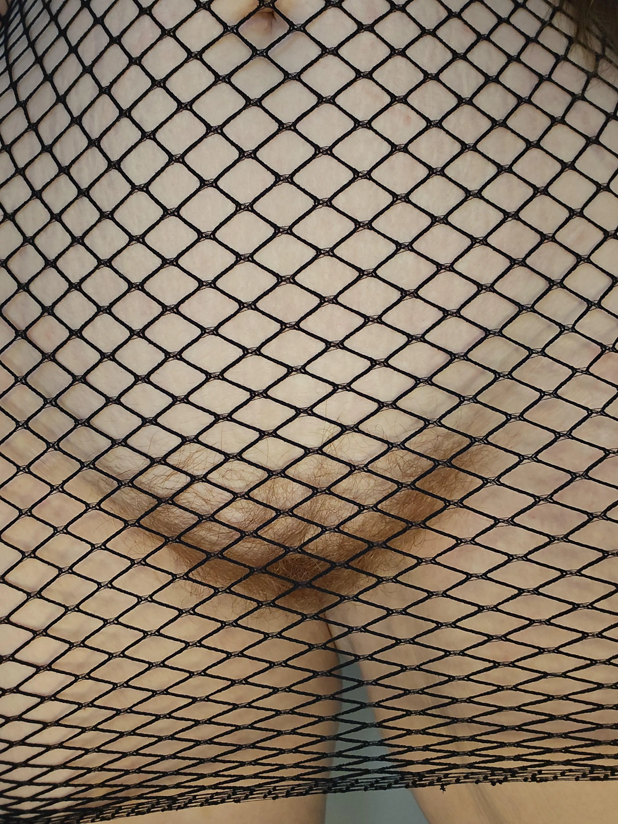 A little bit of bush through fishnets 