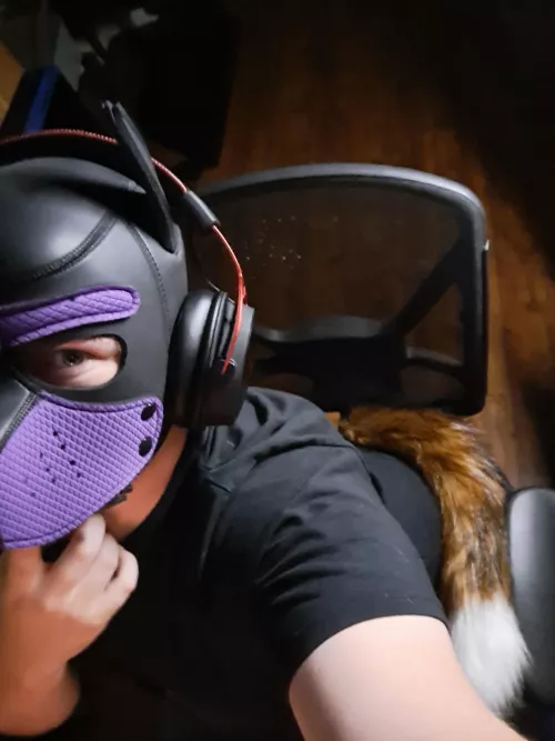 Got that dawg in me :3