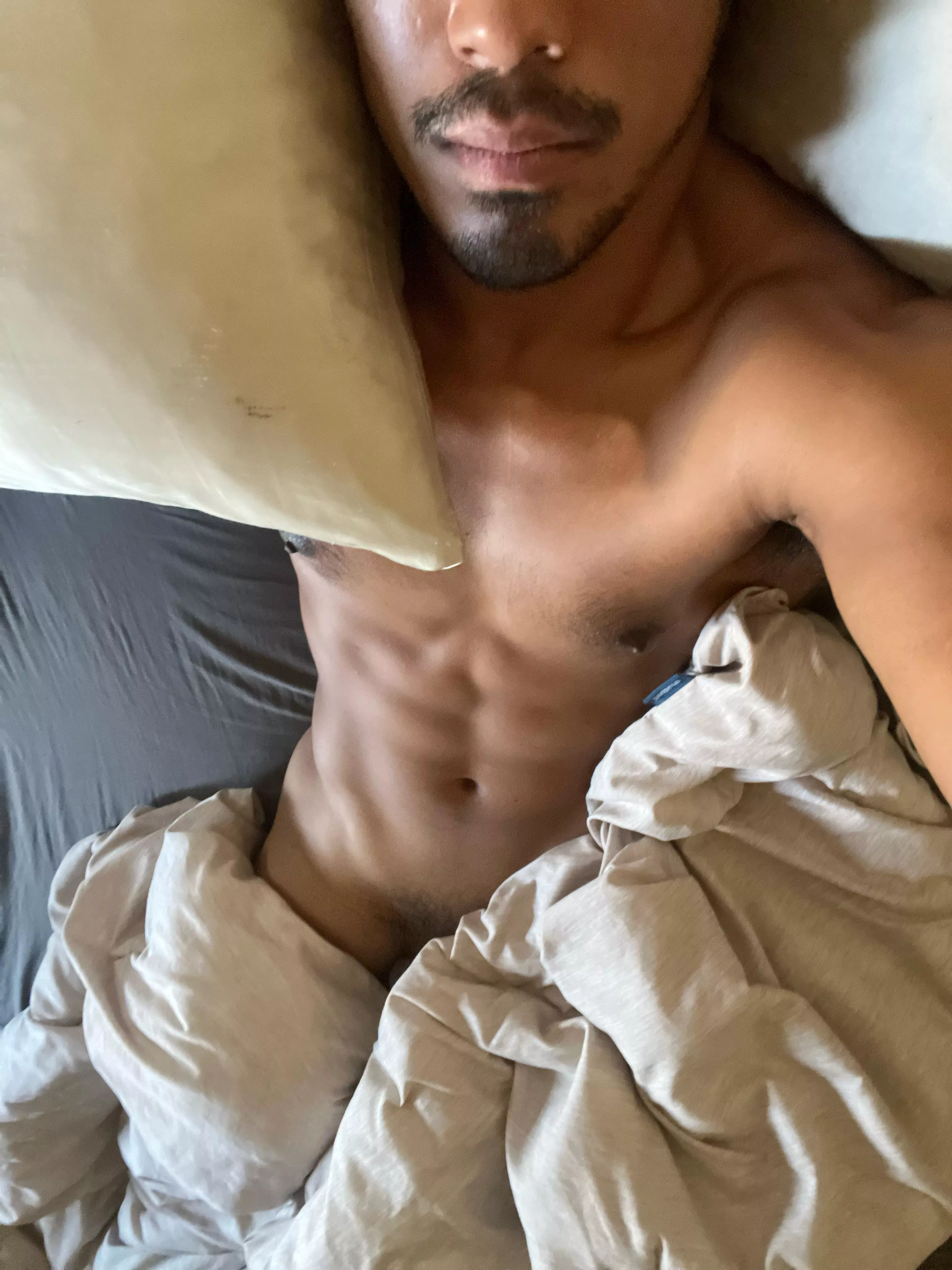 I’ve been enjoying chatting and showing off to Reddit 