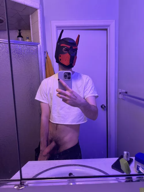 Just a pup and his bone🐶