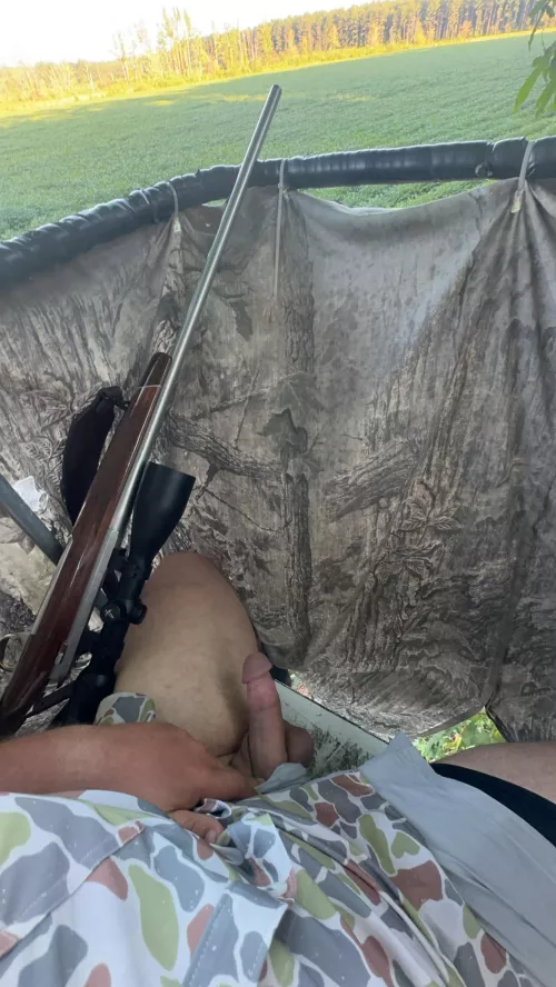 Too hot for jeans in the deer stand. Anyone want to hive me a hand?