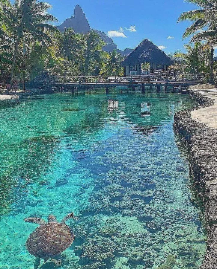 Bora Bora
