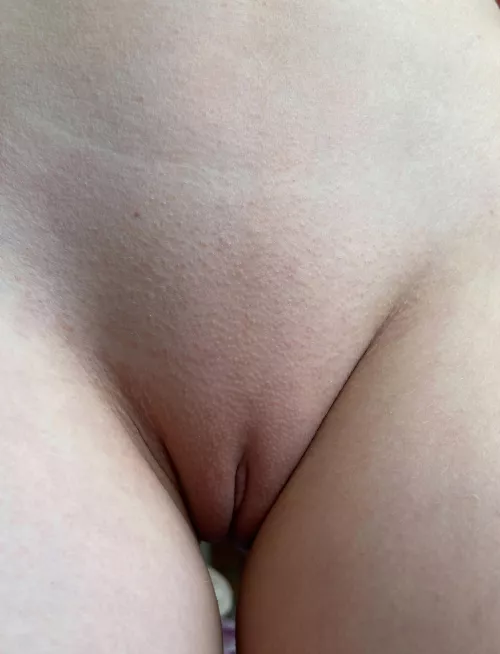 Shaved pussy mound