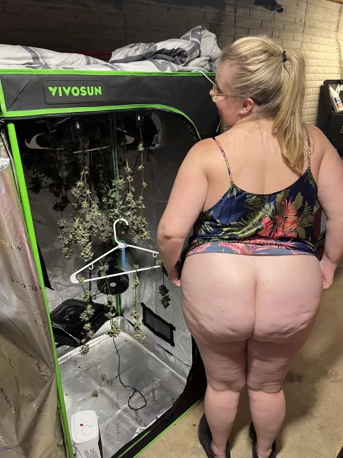 Still a little wet (30) (F)