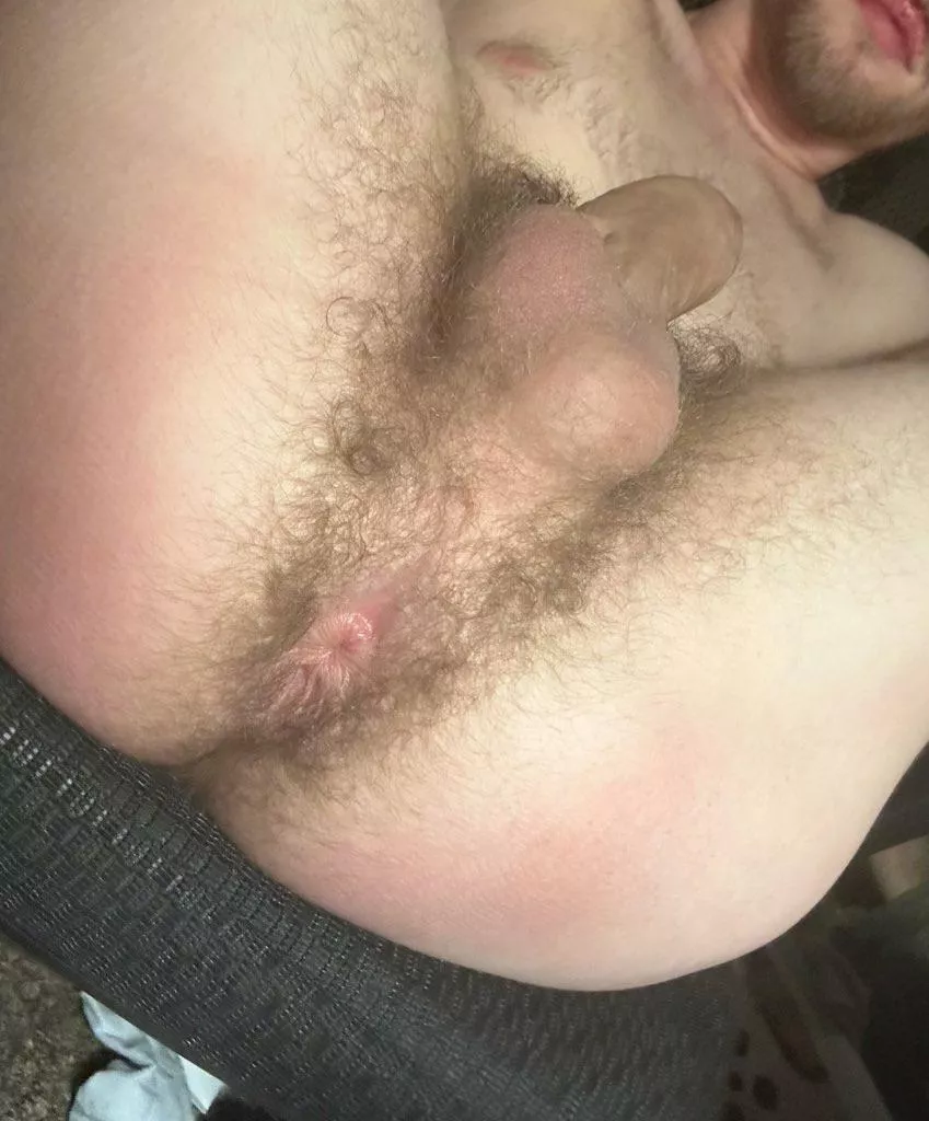 can’t be a better sight than this 