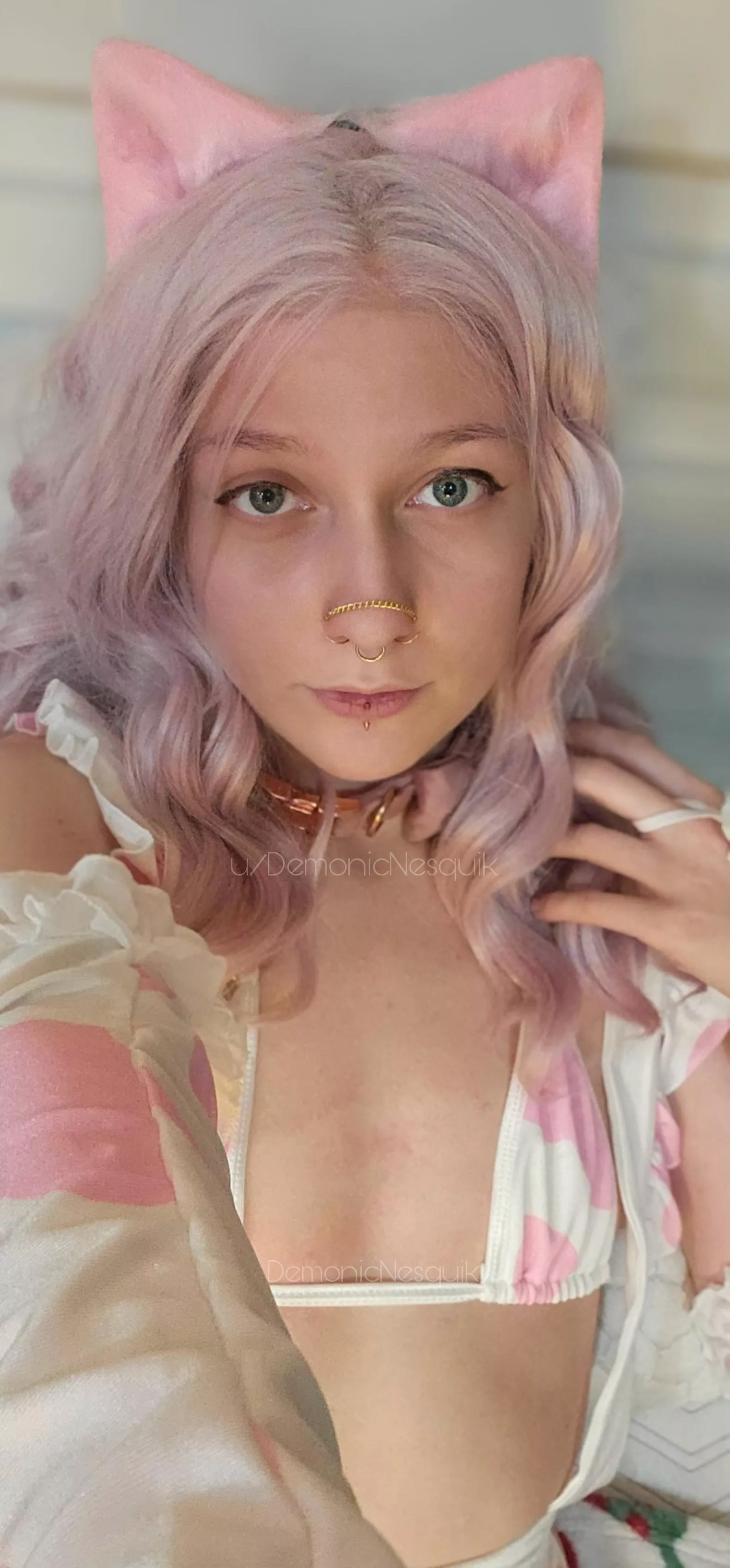 Collared catgirl maid