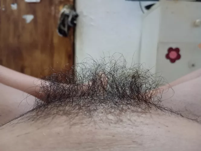 Creamy mound with bush 