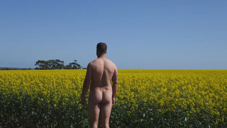 I think I need to go heavier at the gym