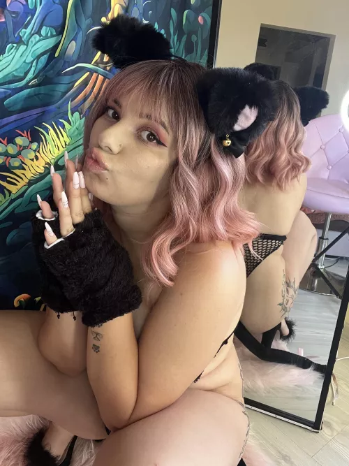 Not just a dream, a wild one