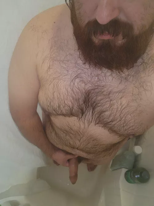 Some company would be nice