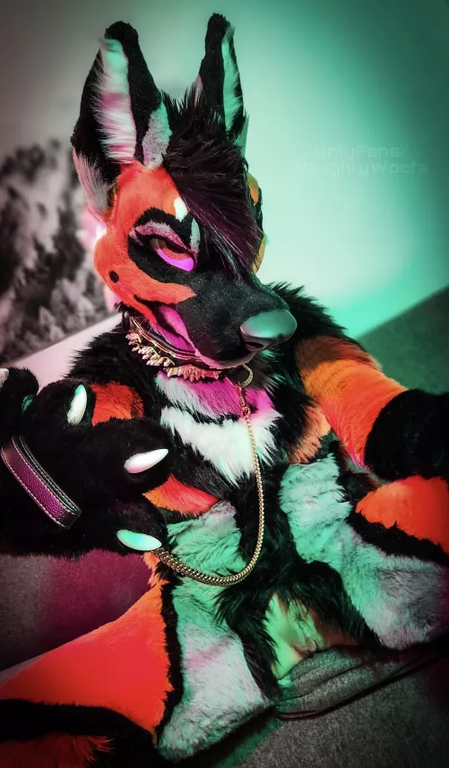 Tug my leash and eat me out 👅💦 |OF: NaughtyWoofs