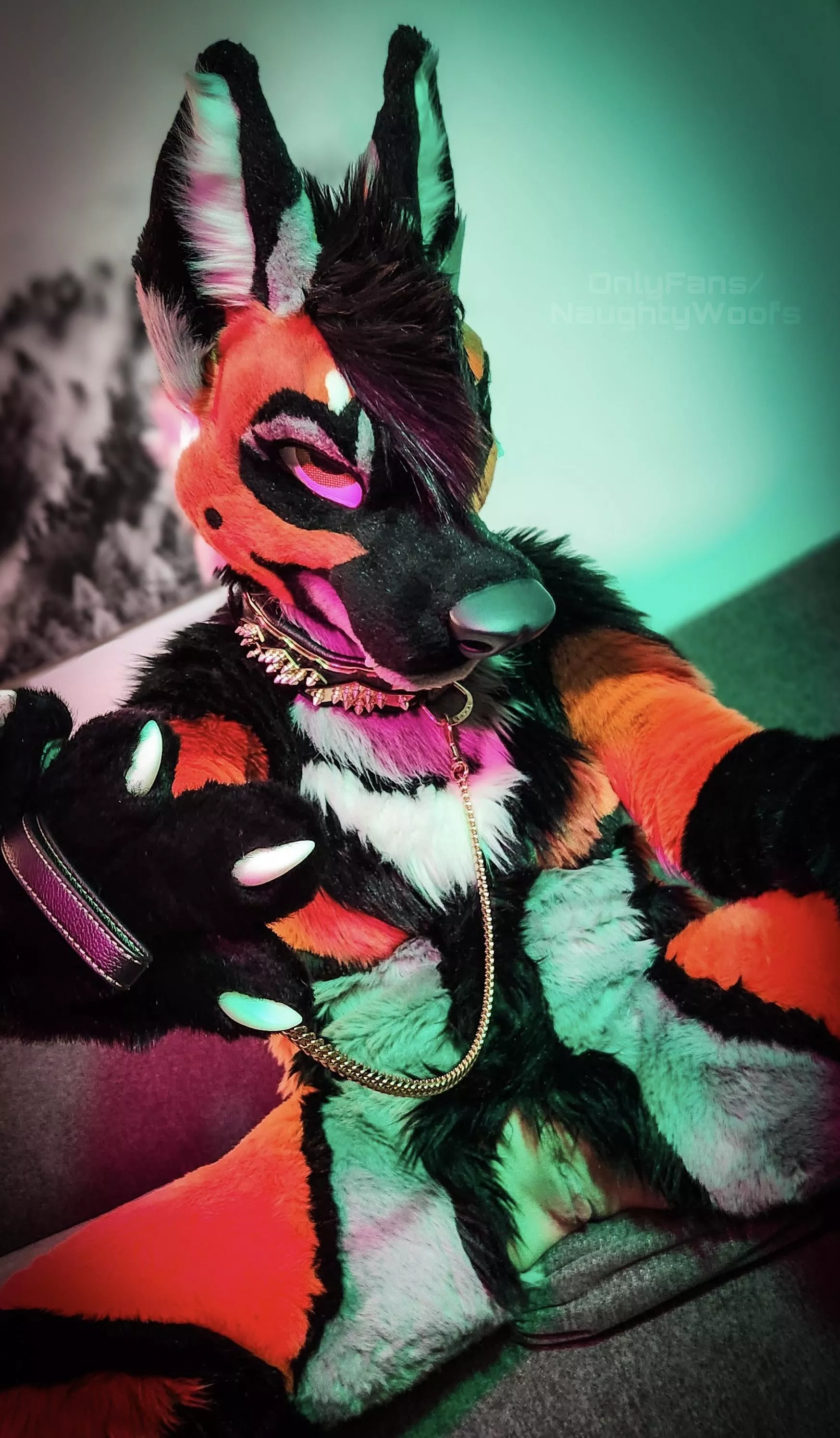 Tug my leash and eat me out 👅💦 |OF: NaughtyWoofs