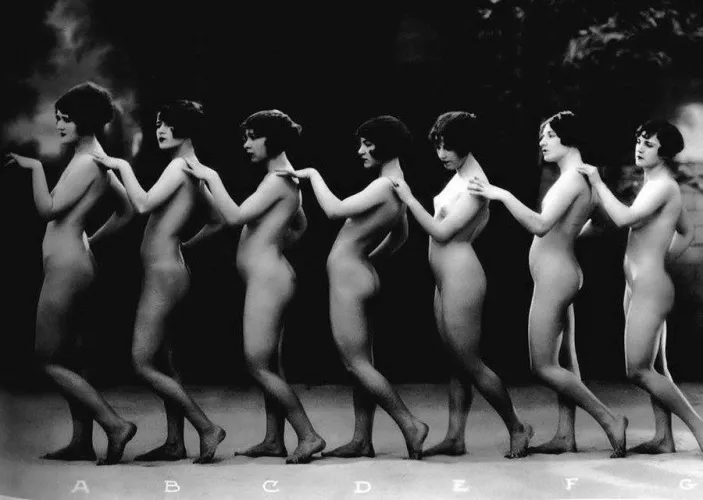 by Albert Arthur Allen