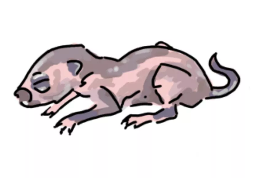 I draw peoples OC as newborn babies